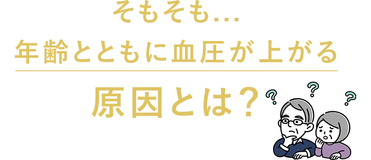 そもそも...年齢とともに血圧が上がる原因とは？