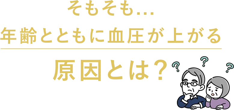 そもそも...年齢とともに血圧が上がる原因とは？